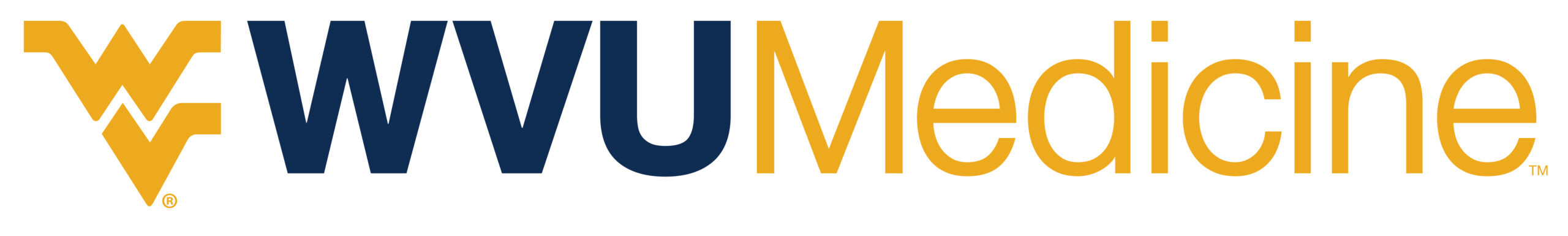 WVU Medicine Logo-PMS 295_124